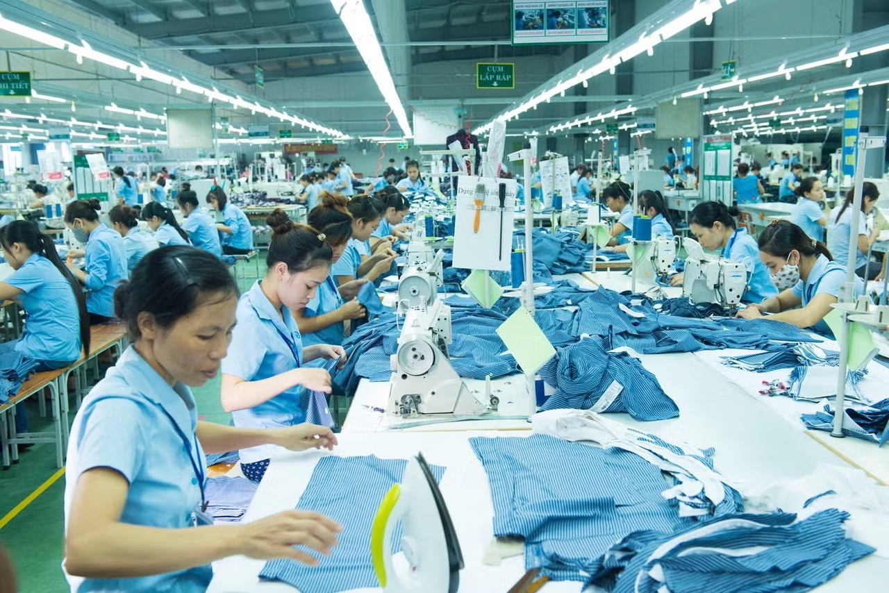 1763712617624 1763712617624