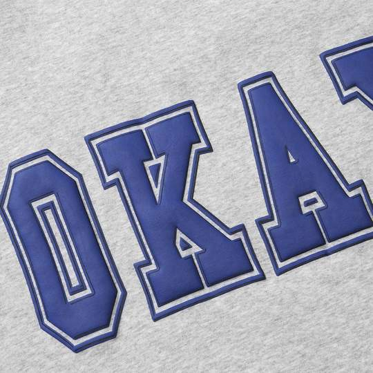 OEM Manufacturer Latest Design Men's Cotton Polyester Blend Foam Letter Print Hoodie