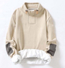 OEM Manufacturer Customized Stand Collar Thicker Fleece Casual Custom Sweatshirt Plus Size Hoodies Men Hoodies