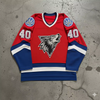 Custom Embroidery logo Ice Hockey Practice Jerseys Wholesale Customized Club Team Name Ice Hockey Hoodies