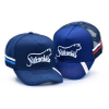 High Quality Custom Logo Embroidery Designer Back Button Mesh Trucker Hat