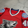Custom Embroidery logo Ice Hockey Practice Jerseys Wholesale Customized Club Team Name Ice Hockey Hoodies